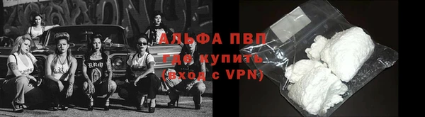 дживик Каменногорск