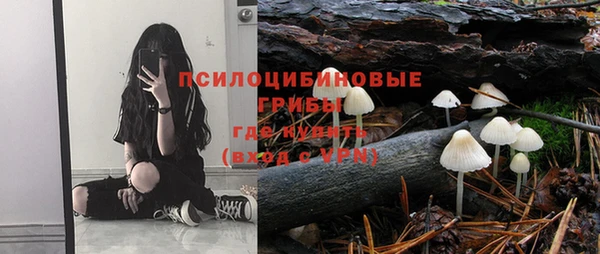 дживик Каменногорск