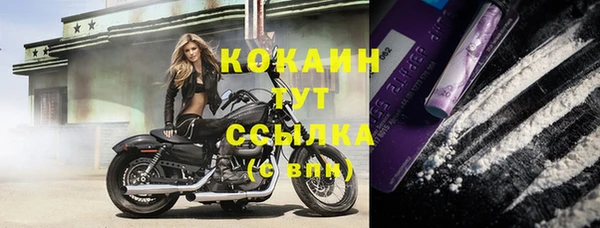 прущие крисы Каменка