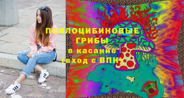 дживик Каменногорск