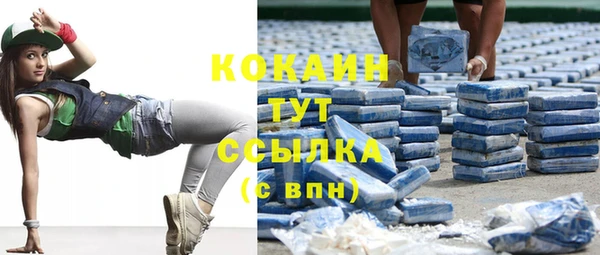прущие крисы Каменка